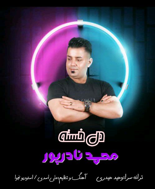 دانلود آهنگ دل خسته محمد نادرپور